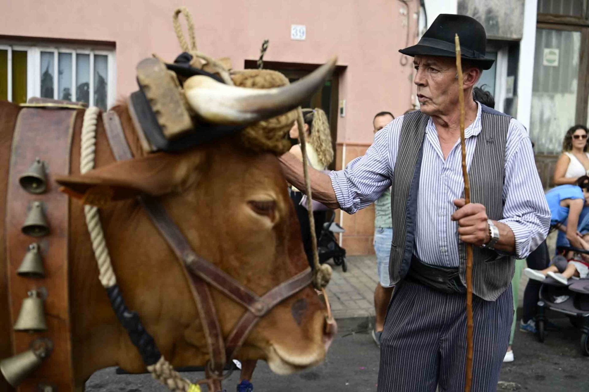 Guanarteme se viste de romería llena de color y tradición