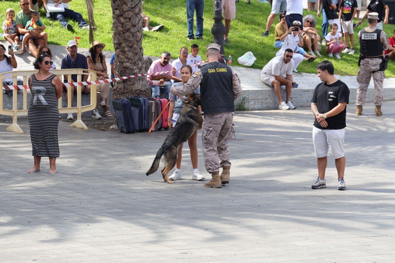 La Fuerzas Armadas exhiben sus recursos materiales y humanos en la plaza de La Feria