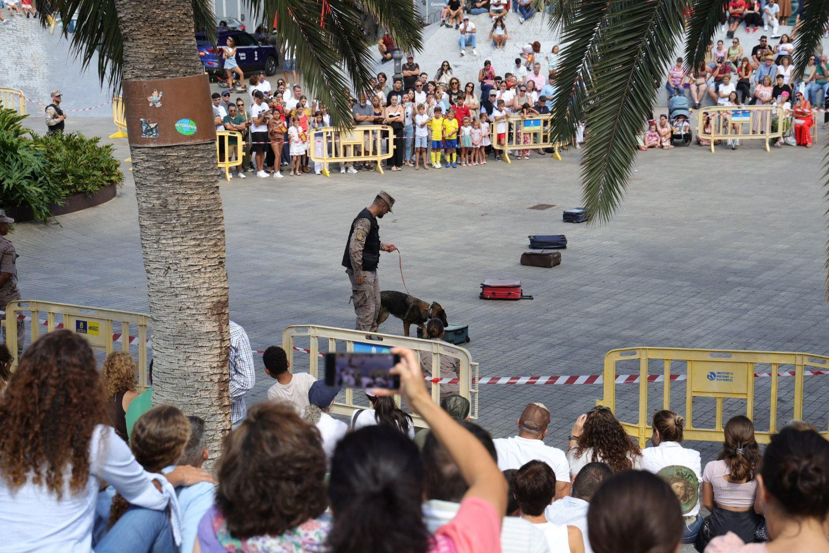 La Fuerzas Armadas exhiben sus recursos materiales y humanos en la plaza de La Feria