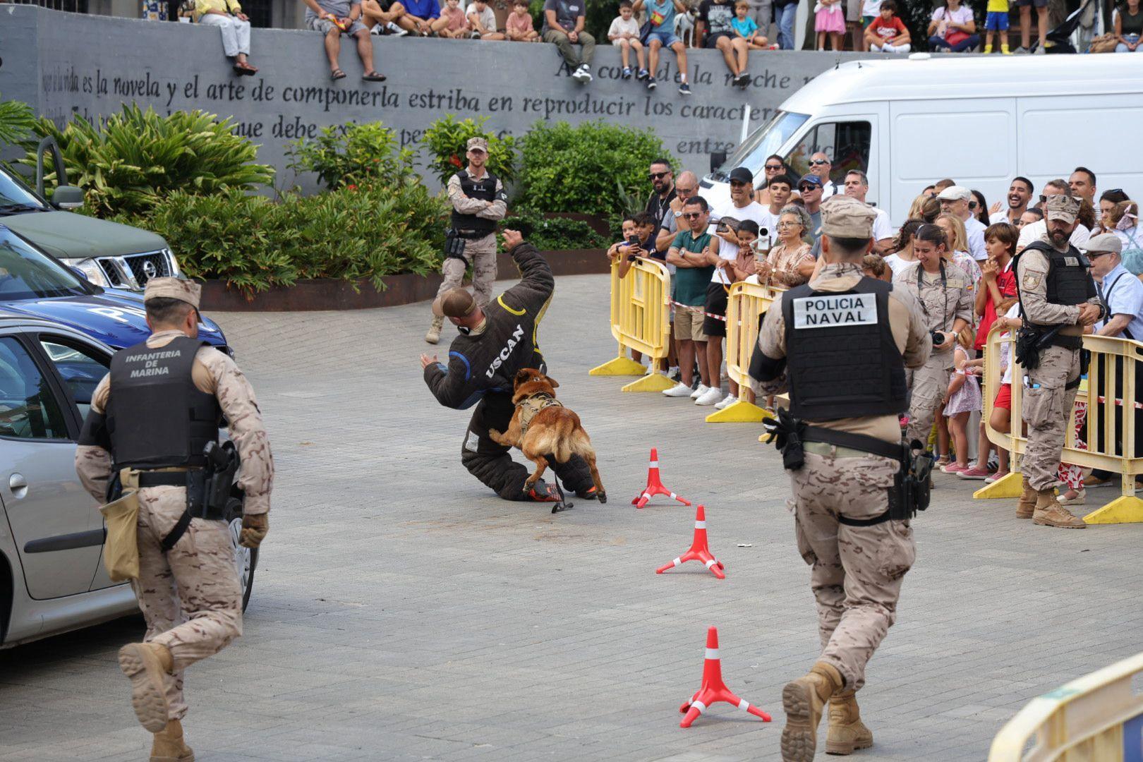 La Fuerzas Armadas exhiben sus recursos materiales y humanos en la plaza de La Feria