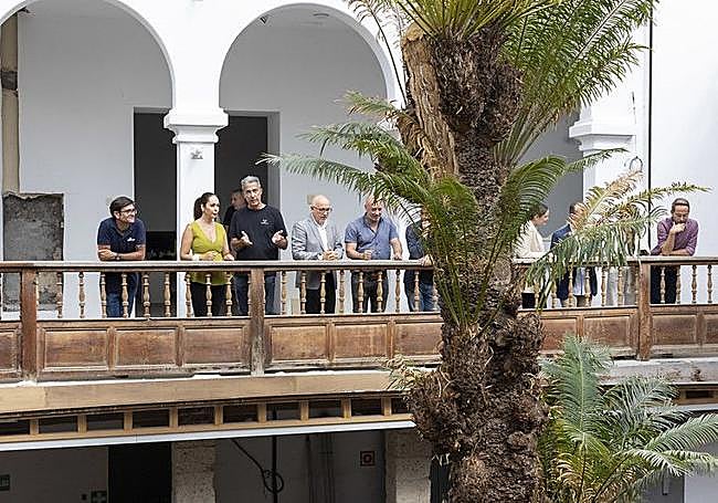 Los hijos de la cyca se acumulan en la parte alta del ejemplar.