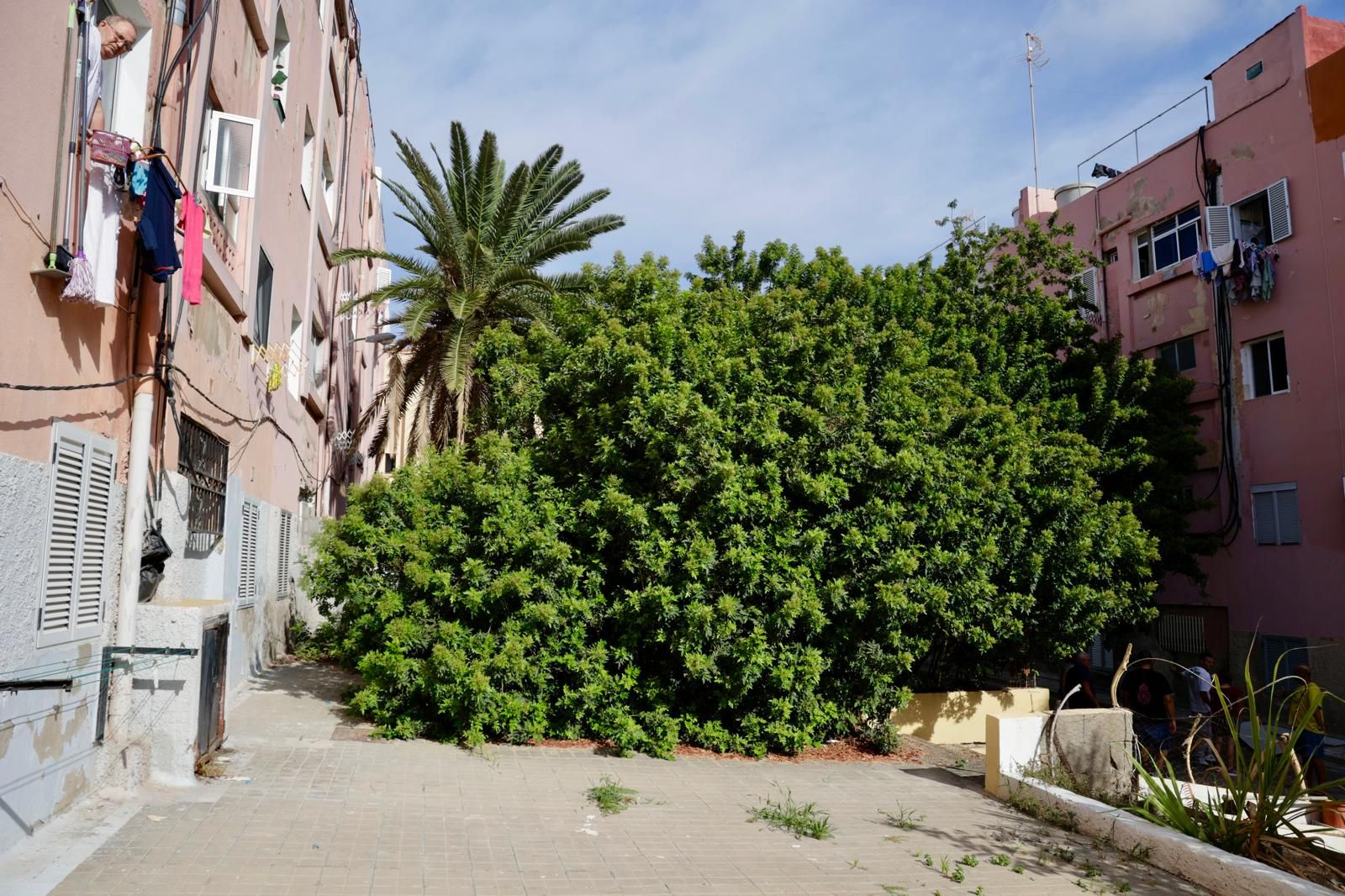 Vecinos de Escaleritas denuncian el mal estado de sus patios interiores