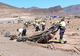 Limpieza de invernaderos abandonados durante el segundo plan que arrancó en junio.