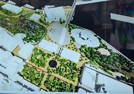 Proyecto planteado en 2022 para reforestar el paque de Santa Catalina y unirse al Puerto.