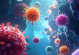 Así pueden contribuir los virus y bacterias a la aparición del cáncer