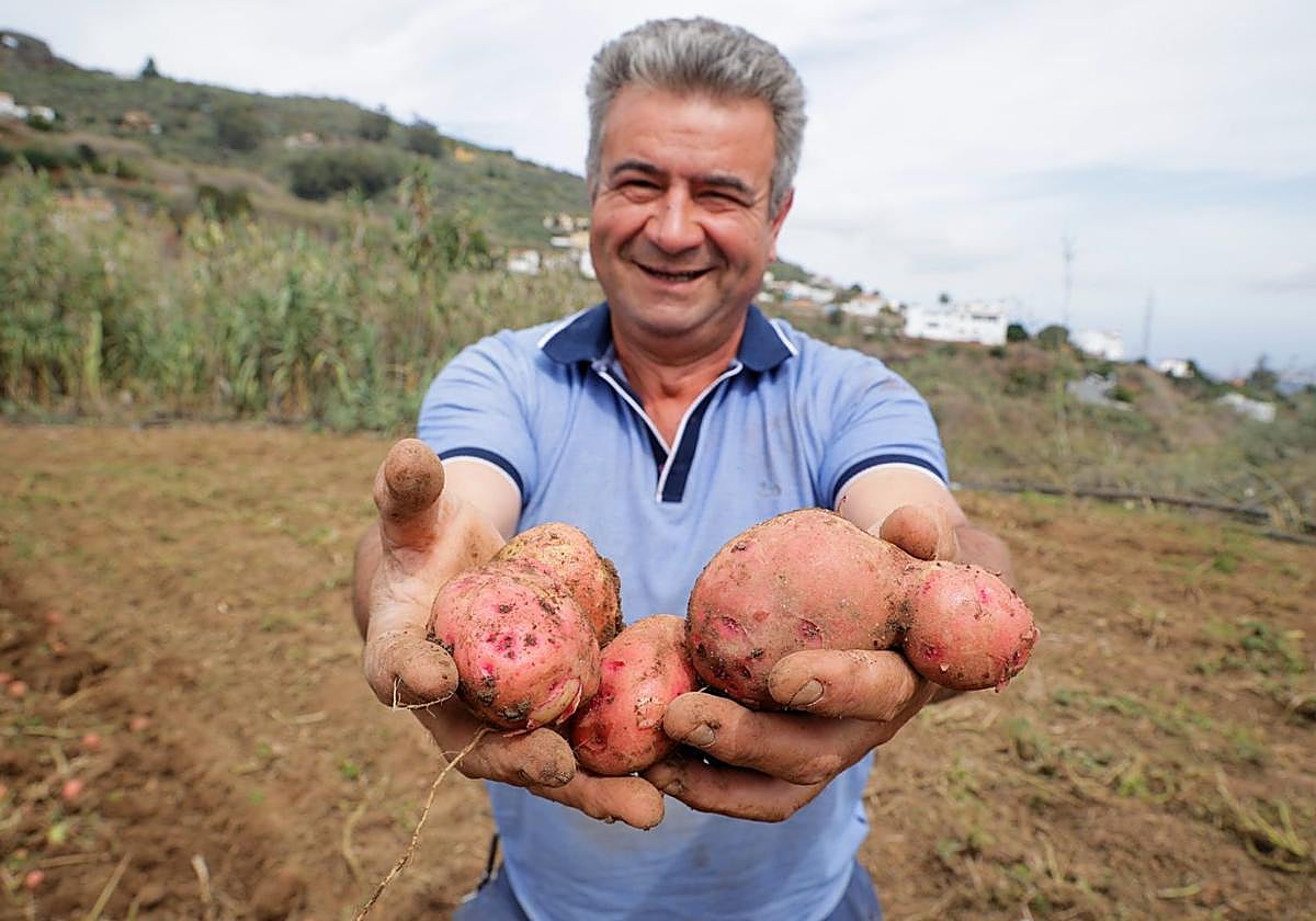José Luis León sujetando algunos ejemplares de papas en su finca Los Risquillos, ubicada en la carretera que va dirección a los Arbejales, en Teror