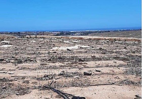 Las cinco plantas fotovoltaicas se instalarán sobre terrenos agrícolas abandonados del sur.