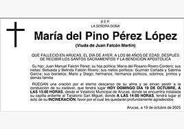 María del Pino Pérez López