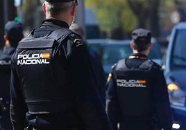 Detenidas tres personas por robos con fuerza en locales comerciales en Costa Adeje y Los Cristianos