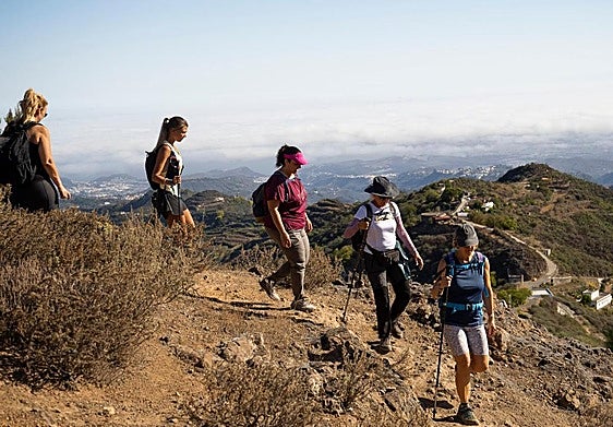 Imagen de la pasada edición e 'Vamos Pa'l Pino'.