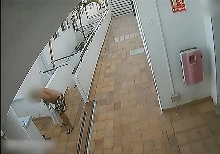 Imagen del momento en que un hombre acaba con la vida de la gata Millu en Mogán.