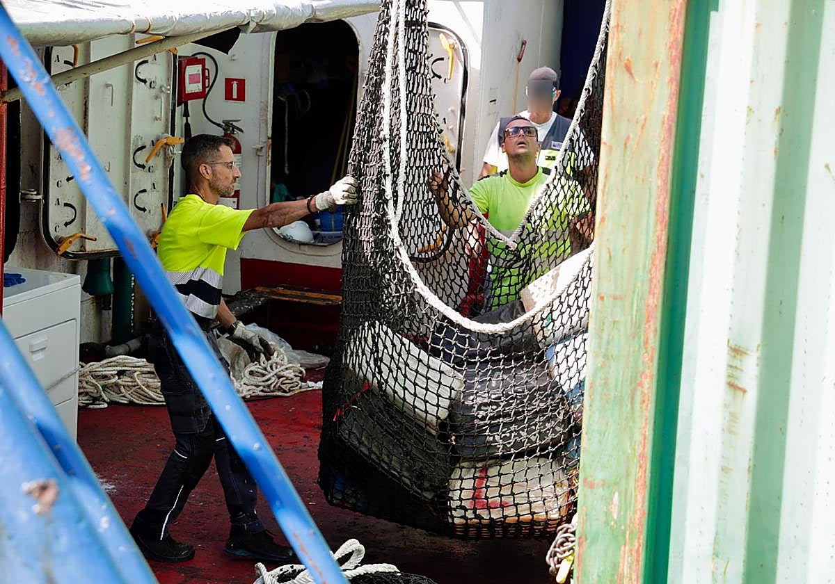 Golpe al narcotráfico: incautan 4.000 kilos de cocaína en un mercante frente a Canarias