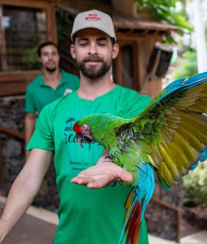 Imagen secundaria 2 - Algunos momentos del trabajo cotidiano durante el campamento.