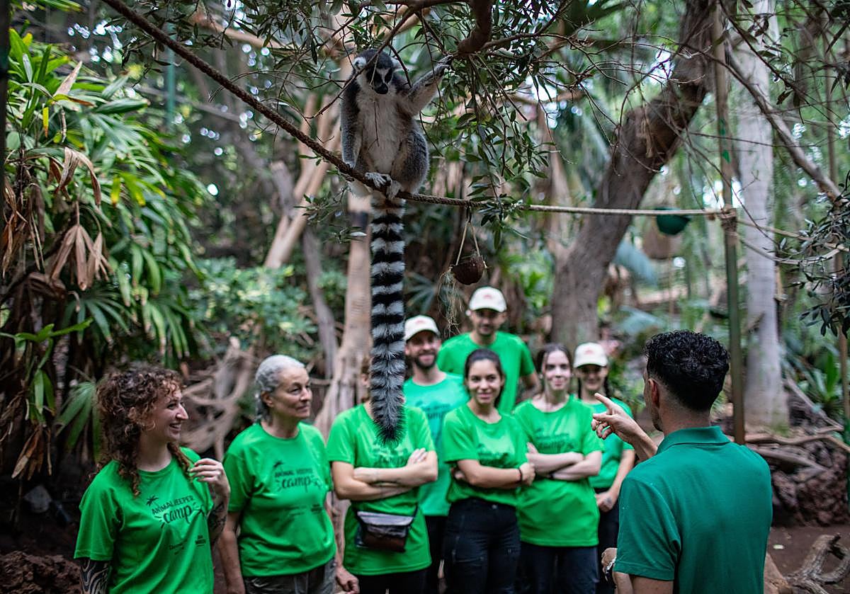 Imagen principal - Algunos momentos del trabajo cotidiano durante el campamento.