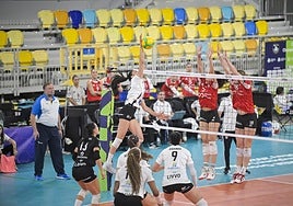 Imagen del choque ante el Benfica celebrado en el Gran Canaria Arena.
