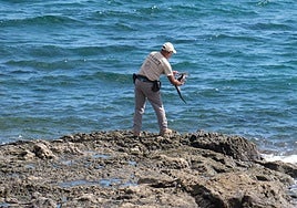 Un agente de Medio Ambiente del Cabildo de Fuerteventura suelta una pardela desde un risco de la costa de Puerto Lajas, en el municipio de Puerto del Rosario.