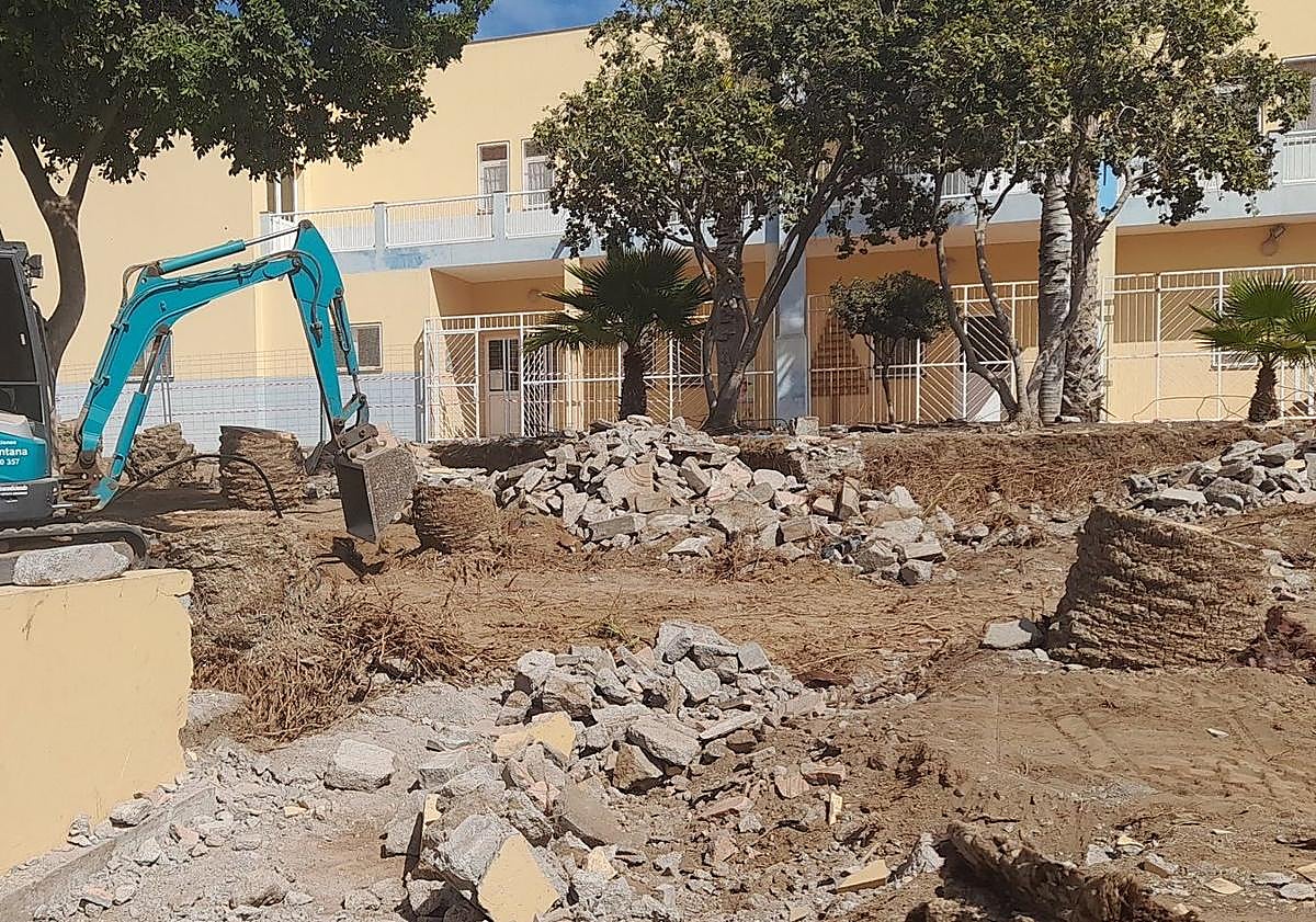 Imagen principal - Agüimes tala 14 palmeras por las obras en el parque de la Casa de la Cultura de Arinaga