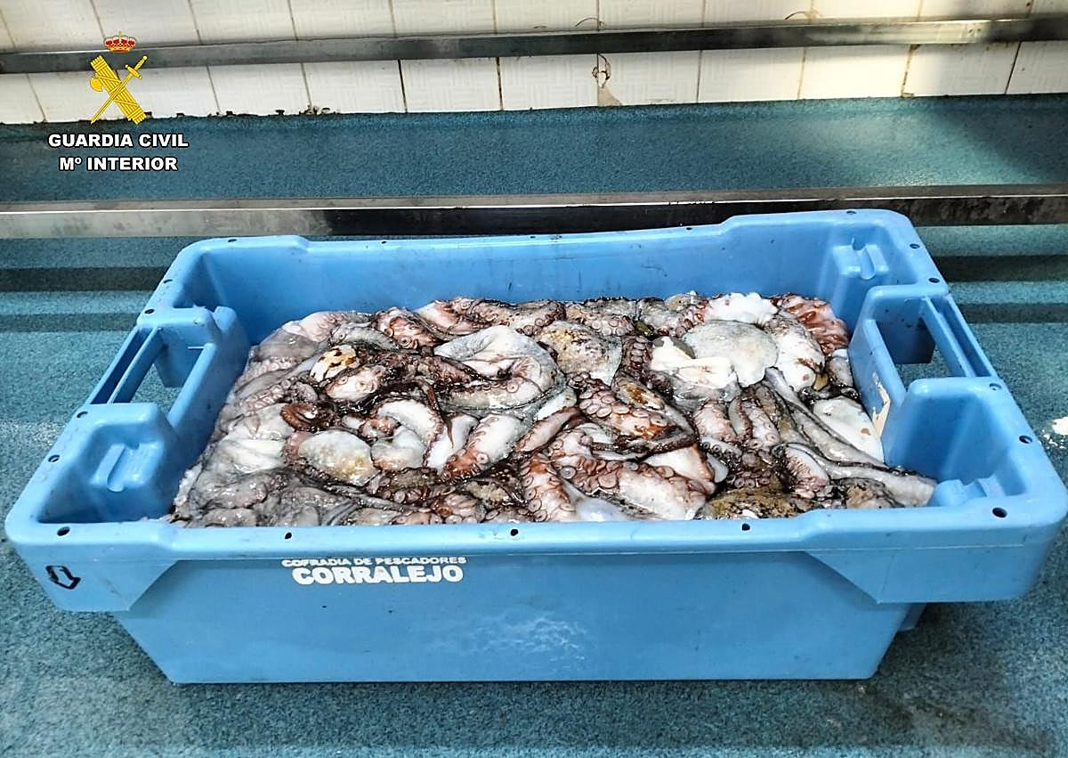 Imagen secundaria 1 - Intervienen 100 kilos de pescado a cuatro pescadores deportivos en la isla de Lanzarote