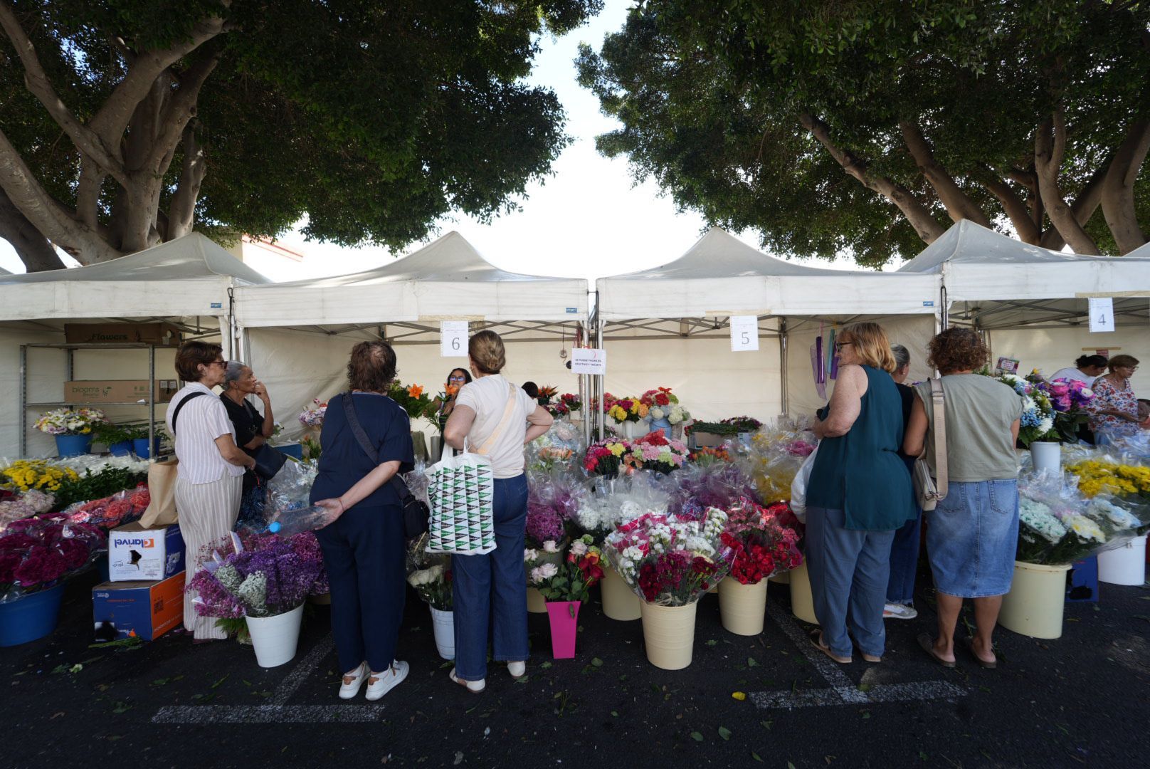 El Cementerio de San Lázaro se llena de flores por el Día de Todos los Santos