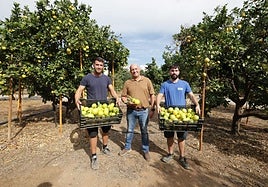 Pepe Medina, junto a sus hijos, Raúl y José, mantienen con firmeza el legado dejado por el patriarca José Medina.