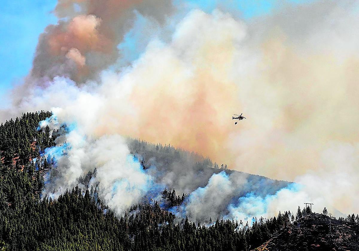 Imagen del incendio forestal que comenzó en la zona conocida como La Hoyeta, cerca del barrio de Las Arvejas.