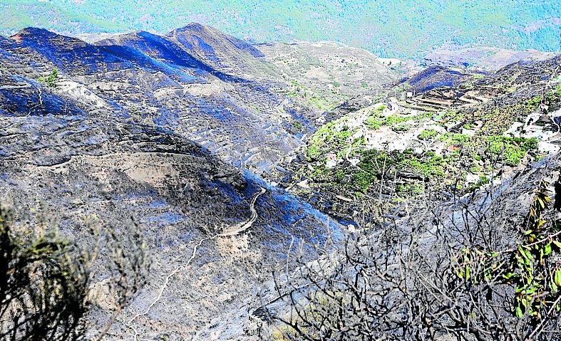 Imagen secundaria 1 - Piden dos años y nueve meses de cárcel para el presunto autor del gran incendio de Artenara de 2019