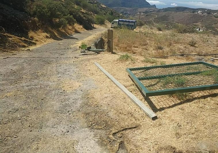 Imagen secundaria 2 - Piden dos años y nueve meses de cárcel para el presunto autor del gran incendio de Artenara de 2019