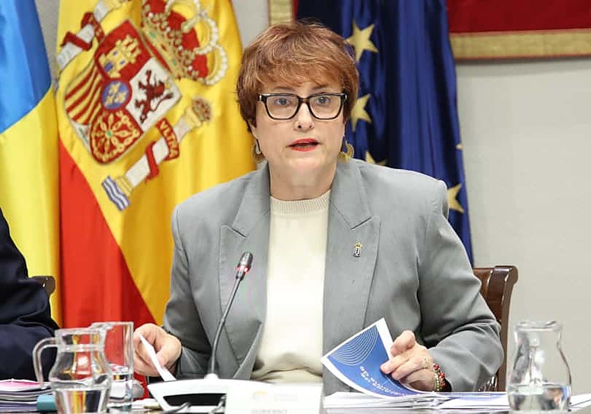 Candelaria Delgado, en la comisión de presupuestos 2026 en el Parlamento canario.