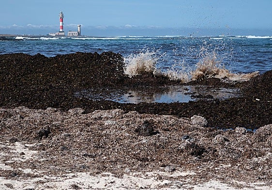 Sebas en la playa del Marrajo, cerca del faro de El Cotillo, en el municipio de La Oliva.