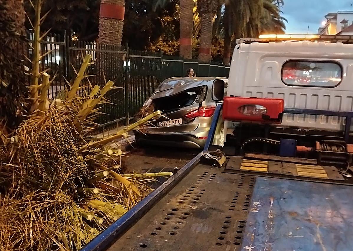 Imagen secundaria 1 - Momentos de la retirada del cogollo caído sobre uno de los coches.
