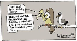 La viñeta de Morgan de este lunes 10 de noviembre