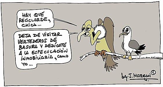 La viñeta de Morgan de este lunes 10 de noviembre