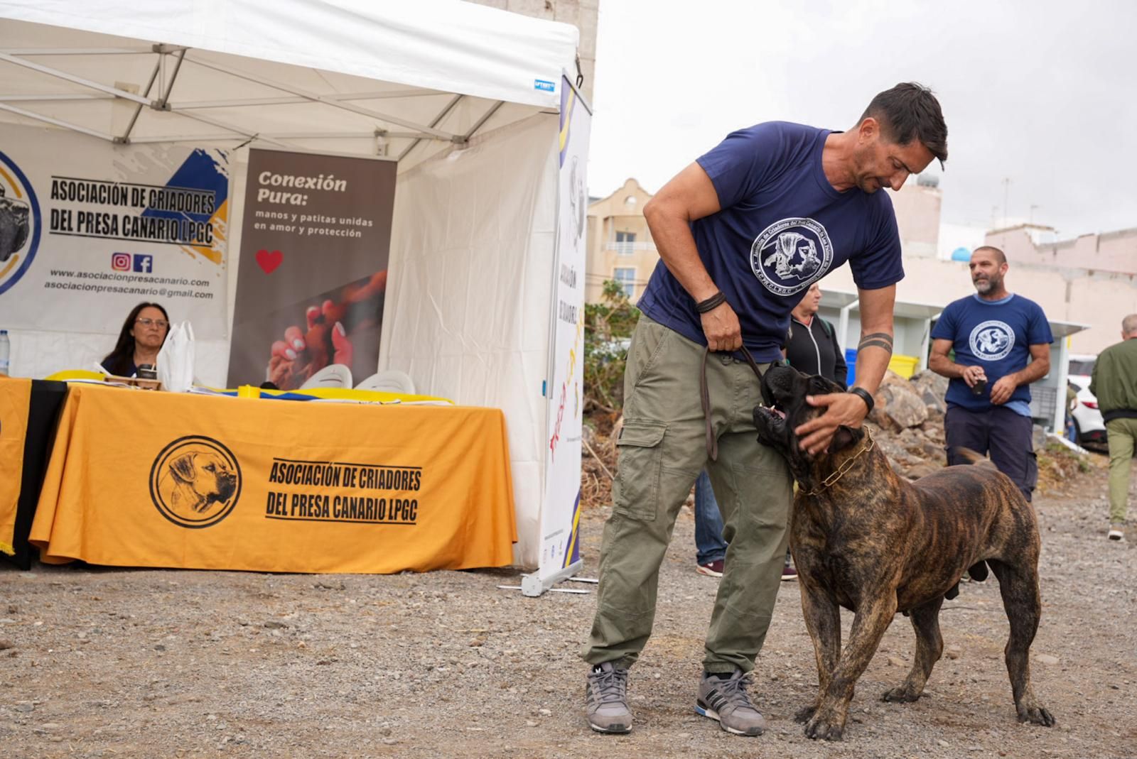 Tercer día de la Feria del Sureste en Carrizal en imágenes