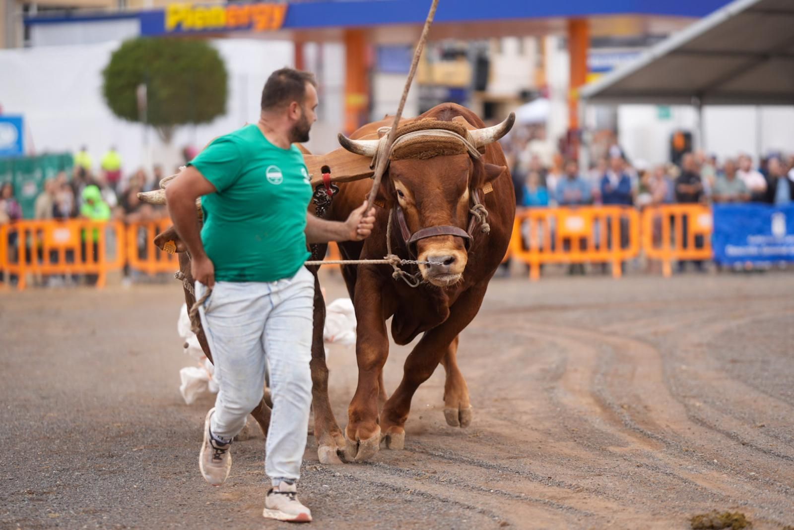 Tercer día de la Feria del Sureste en Carrizal en imágenes