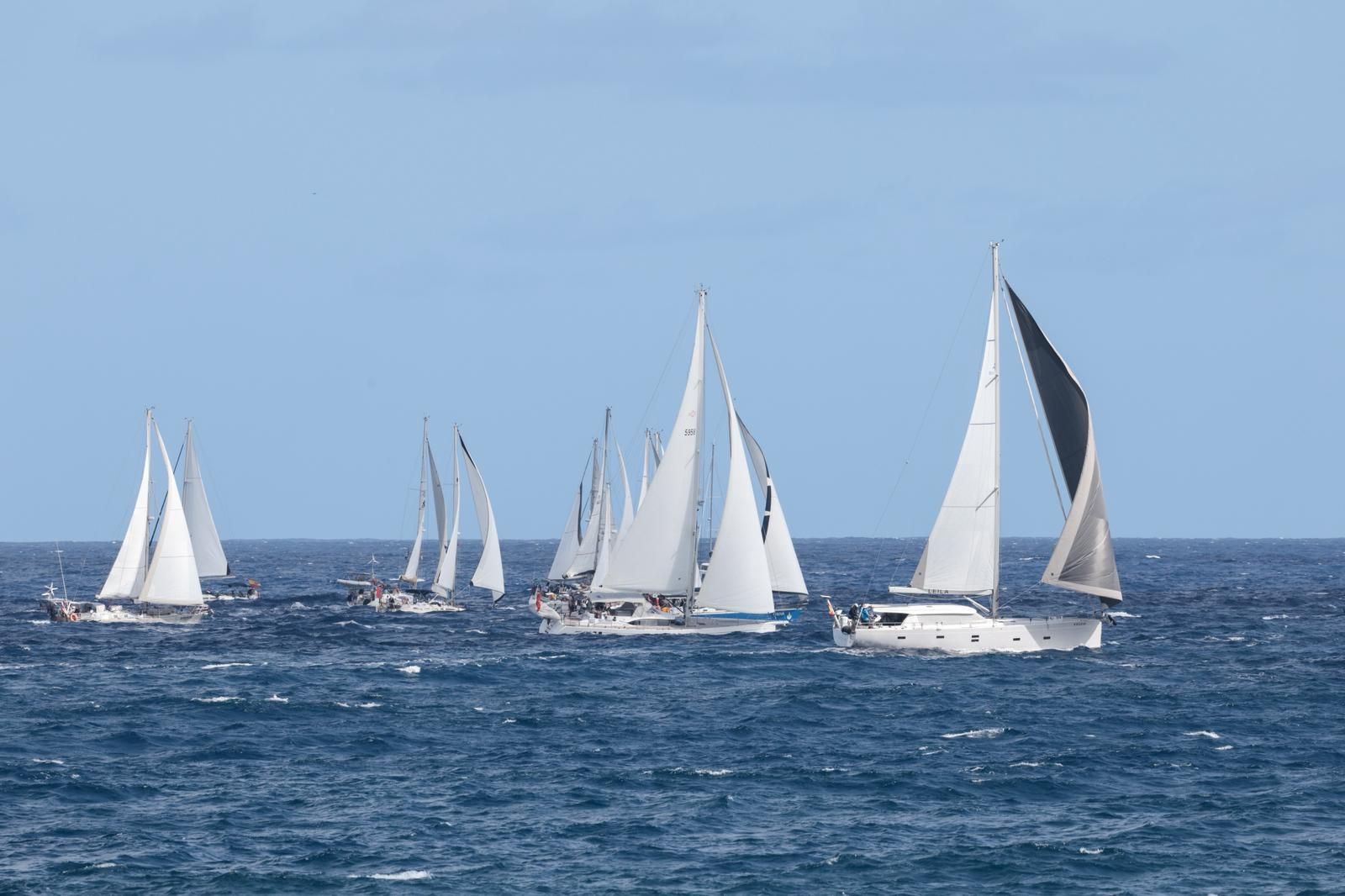 ARC Plus Regata de barcos: Un trampolín de sal hacia el Caribe