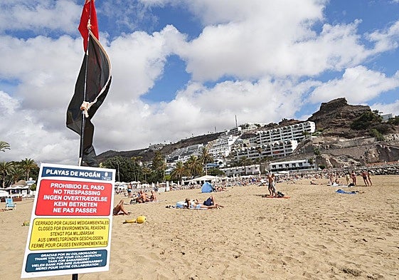 Bañistas en la playa del puerto de Mogán este miércoles por la mañana, a pesar de la prohibición del baño.