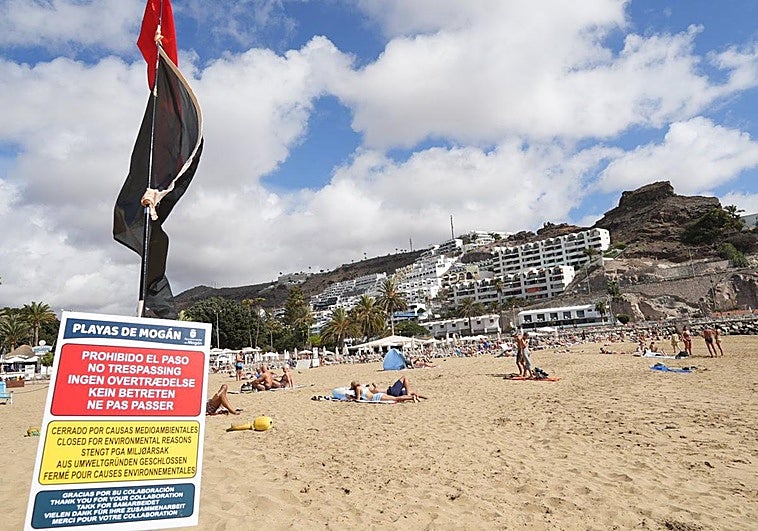 Bañistas en la playa del puerto de Mogán este miércoles por la mañana, a pesar de la prohibición del baño.