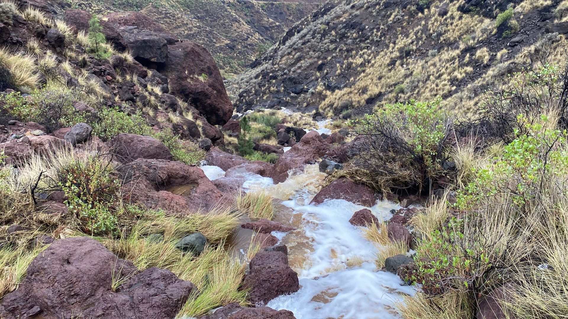 Los estragos de la borrasca Claudia en Canarias