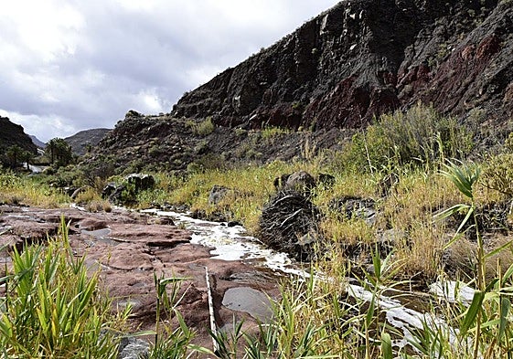 Agua corriendo este jueves por uno de los barrancos del suroeste de Gran Canaria.