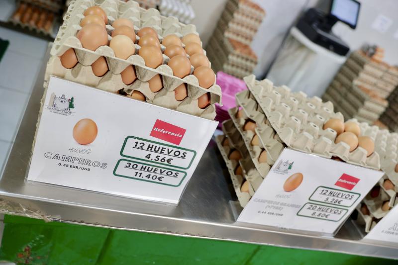 El sector de la distribución de huevos pide 'tocar' el Aiem para bajar el precio