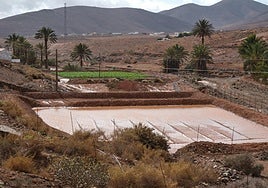 Gavia bebida en Agua de Bueyes, en el municipio de Antigua, tras correr el barranco por el paso de la borrasca Claudia.