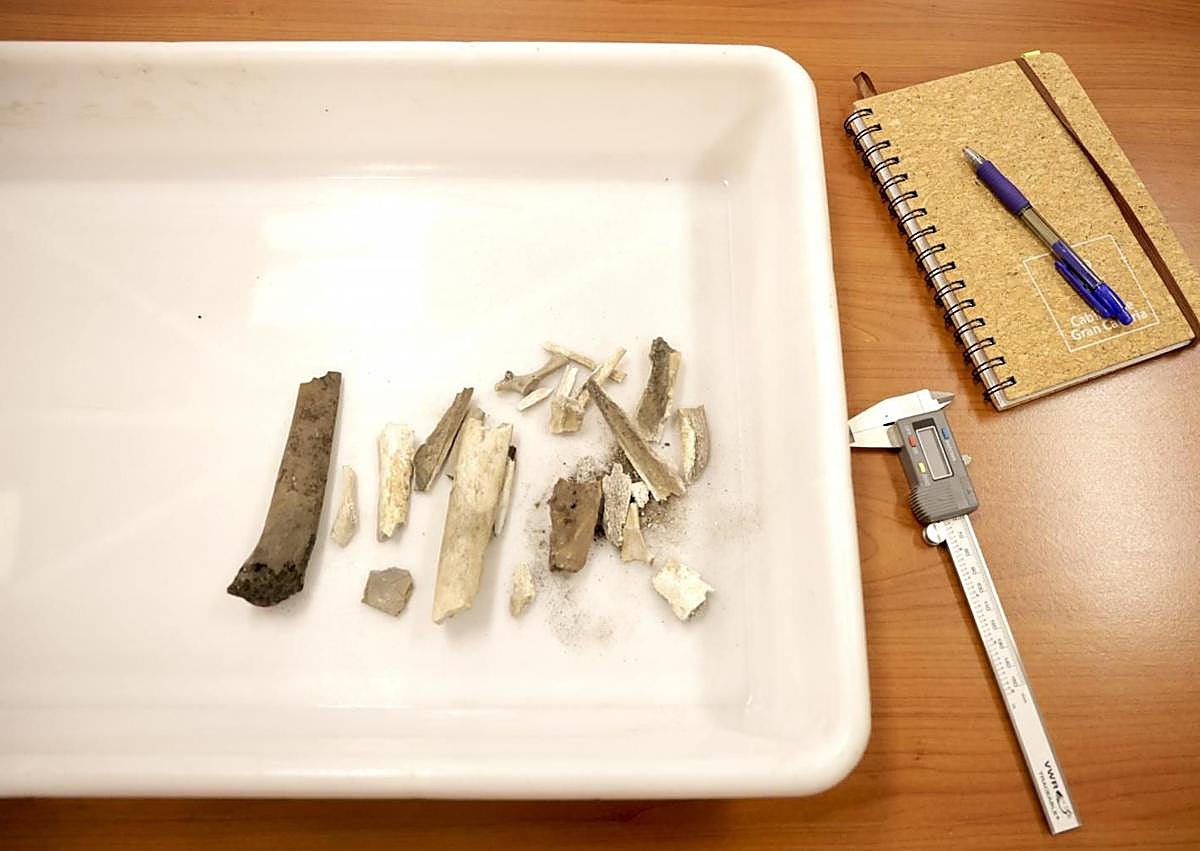 Imagen secundaria 1 - Diferentes imágenes del laboratorio.