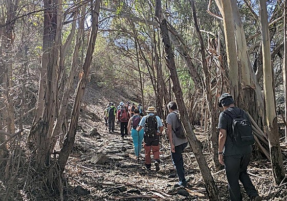 El grupo recorre el interior del barranco de Mascuervo en San Lorenzo.