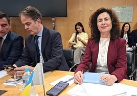 La consejera canaria de Hacienda, Matilde Asián, en el Consejo de Política Fiscal y Financiera de este lunes en Madrid.