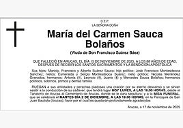 María del Carmen Sauca Bolaños