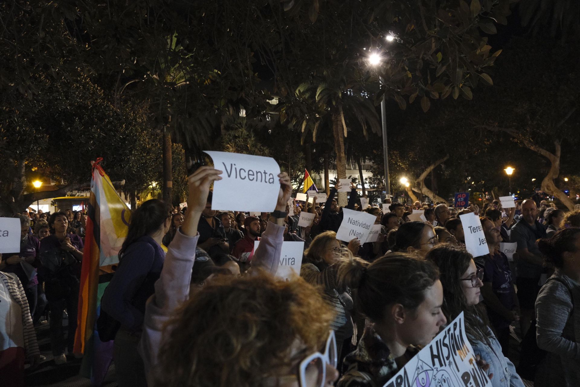 La manifestación del 25N, en imágenes