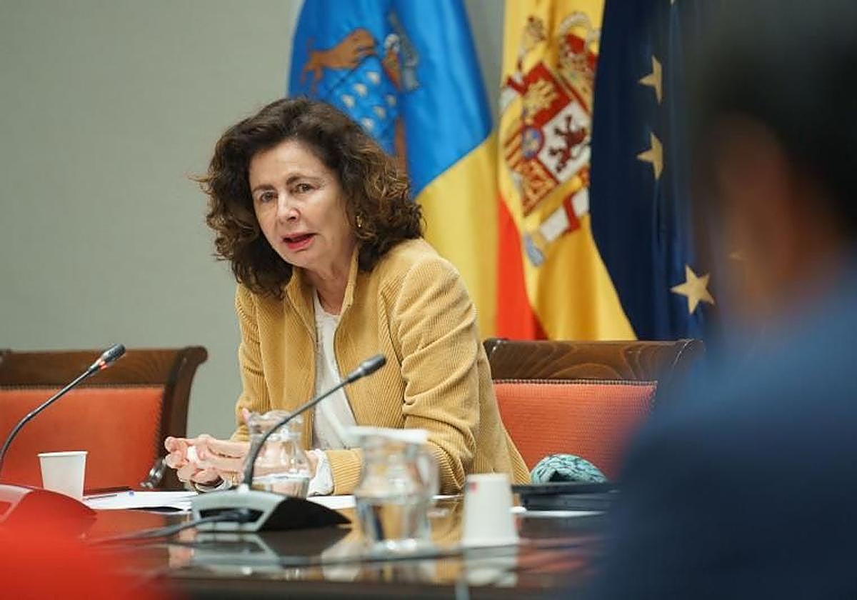 La consejera de Hacienda del Gobierno de Canarias, Matilde Asián.