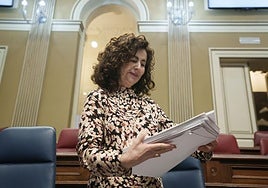 La consejera de Hacienda y Relaciones con la Unión Europea del Gobierno de Canarias, Matilde Asián, durante el pleno del Parlamento de Canarias.
