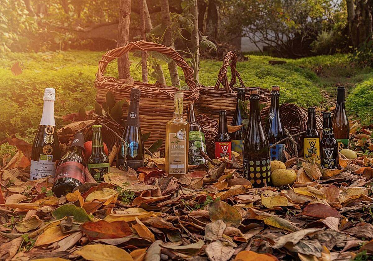 Las sidras de Valleseco que consiguieron medallas en el Concurso Internacional del Sagrado Forum.