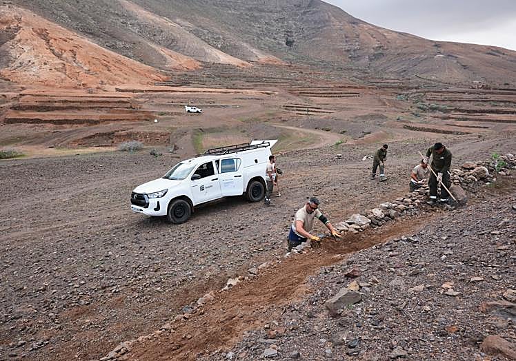 Las cuadrillas trabajan en la restauración del Paisaje Protegido de Vallebrón, en el municipio de La Oliva.